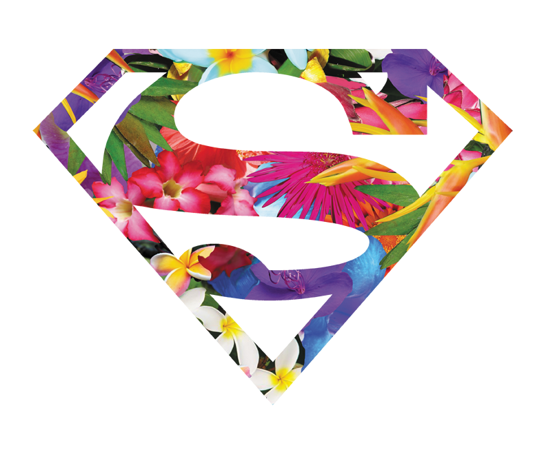 hawaiian superman