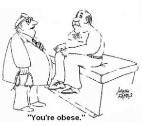 youre obese
